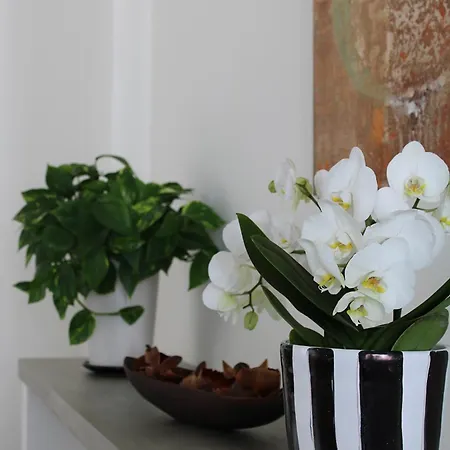 Daire Unico Loft Rimini