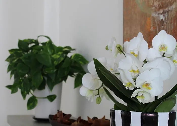 Apartament Unico Loft Rimini